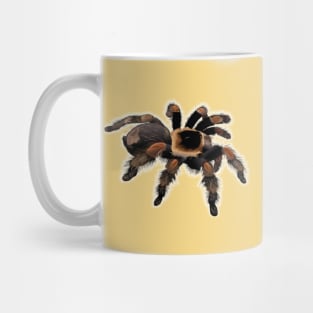 Spider Tarantula Mug